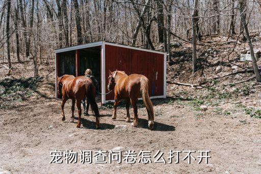 調查家養(yǎng)寵物表怎么做，寵物調查問卷怎么打不開