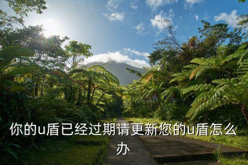 u盾已經(jīng)過期了怎么辦理嗎，提示U盾已過期怎么辦
