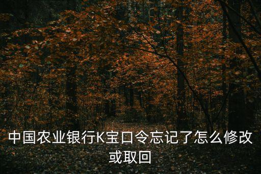 農(nóng)行k令密碼忘了怎么辦，我農(nóng)行K寶口令密碼忘了怎么辦啊急急急