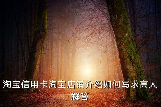 淘寶賣家卡片怎么寫，淘寶信用卡淘寶店鋪介紹如何寫求高人解答