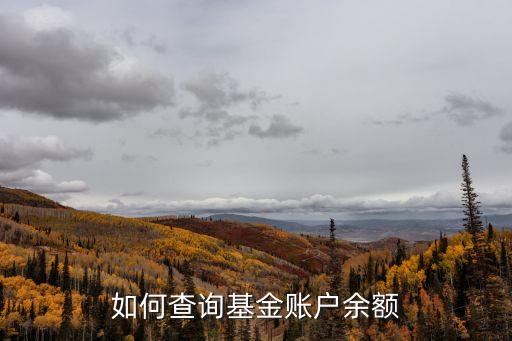 如何查詢基金賬戶余額