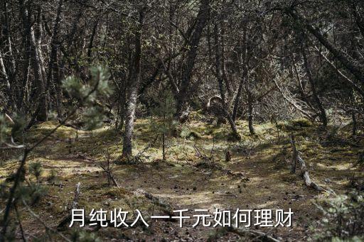 月純收入一千元如何理財