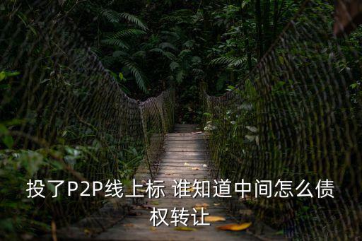 借貸寶怎么轉(zhuǎn)讓債權(quán)，投了P2P線上標(biāo) 誰(shuí)知道中間怎么債權(quán)轉(zhuǎn)讓