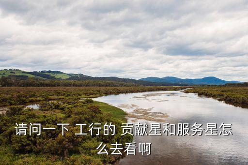 請(qǐng)問(wèn)一下 工行的 貢獻(xiàn)星和服務(wù)星怎么去看啊
