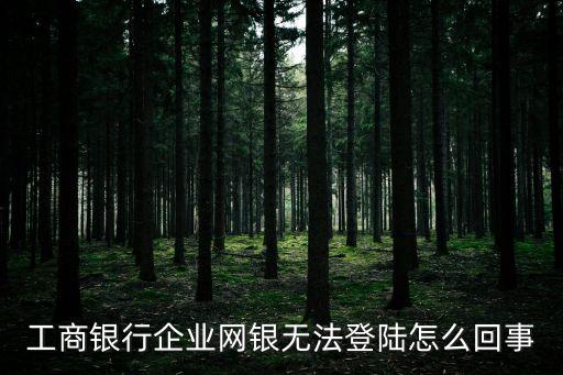 工商銀行企業(yè)網(wǎng)銀無(wú)法登陸怎么回事