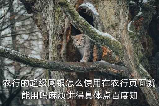 農(nóng)行的超級網(wǎng)銀怎么使用在農(nóng)行頁面就能用嗎麻煩講得具體點百度知