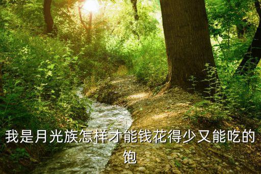 對于月光族怎么省錢方法，我是月光族怎樣才能錢花得少又能吃的飽