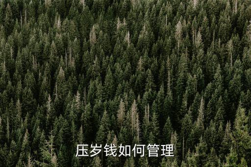 壓歲錢(qián)怎么辦，壓歲錢(qián)如何管理