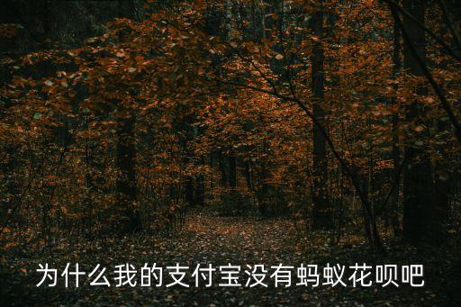 螞蟻花唄怎么找不到，為什么我最新版本的支付寶沒有螞蟻花唄