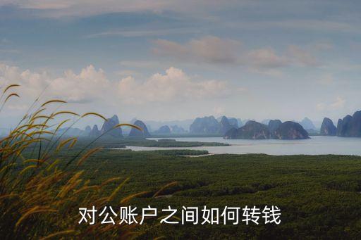 對公賬戶之間如何轉錢