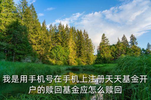 我是用手機號在手機上注冊天天基金開戶的贖回基金應(yīng)怎么贖回