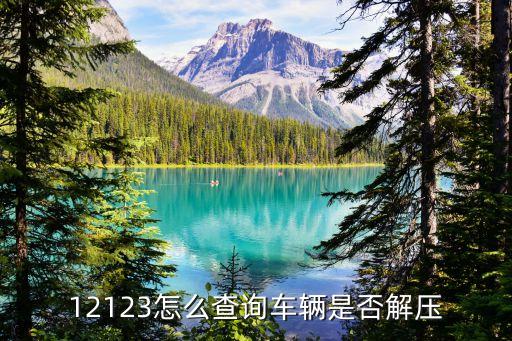 汽車解壓怎么查詢，我車是按揭的怎么查