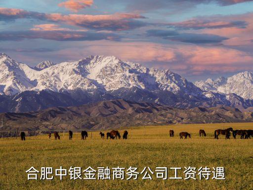 合肥中銀商務(wù)怎么樣，合肥中銀金融商務(wù)公司工資待遇