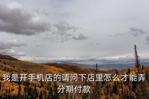 我是開手機店的請問下店里怎么才能弄分期付款