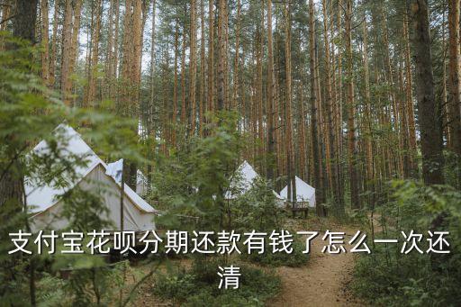 支付寶花唄分期還款有錢了怎么一次還清