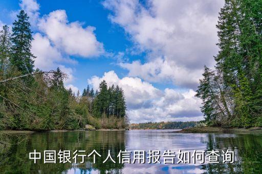 怎么查信用報(bào)告銀行版，怎么樣在銀行查自己的信用報(bào)告 謝謝