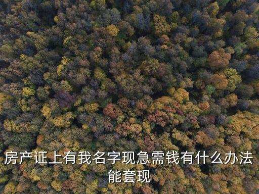 房產證上有我名字現(xiàn)急需錢有什么辦法能套現(xiàn)