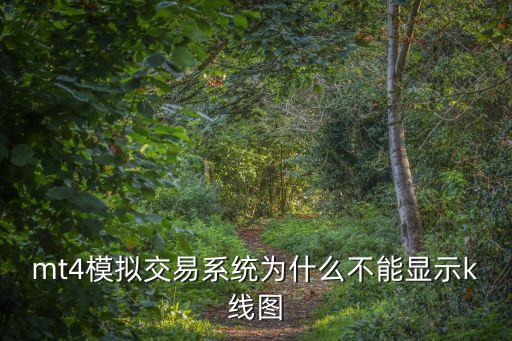 mt4模擬交易系統(tǒng)為什么不能顯示k線圖