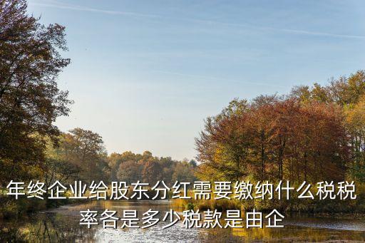 年終企業(yè)給股東分紅需要繳納什么稅稅率各是多少稅款是由企