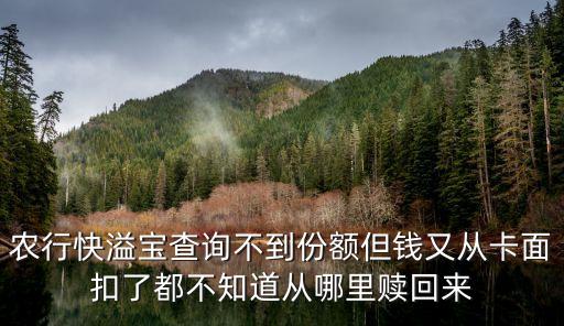 怎么能看到快溢寶收益，農(nóng)行快溢寶查詢不到份額但錢又從卡面扣了都不知道從哪里贖回來