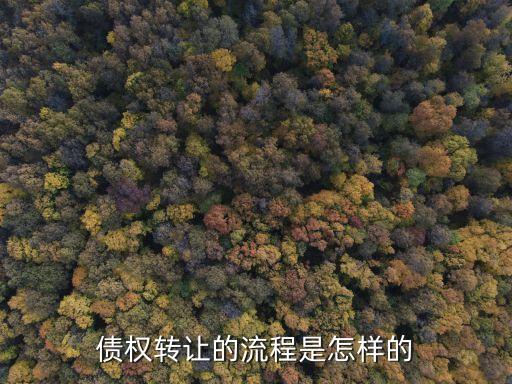 溫商貸怎么轉(zhuǎn)讓債權(quán)，民間借貸債權(quán)如何轉(zhuǎn)讓