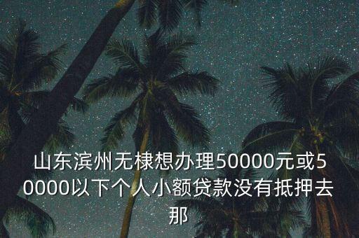 濱州個(gè)人貸款怎么貸，山東濱州無棣想辦理50000元或50000以下個(gè)人小額貸款沒有抵押去那