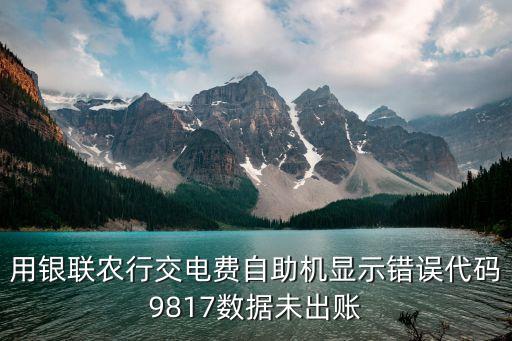 用銀聯(lián)農(nóng)行交電費自助機顯示錯誤代碼9817數(shù)據(jù)未出賬