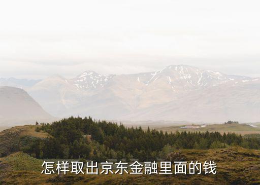 怎樣取出京東金融里面的錢