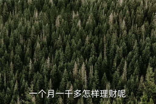 一個月一千多怎樣理財呢