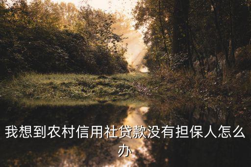 本地農(nóng)戶怎么審請(qǐng)無保人貸款，我想到農(nóng)村信用社貸款沒有擔(dān)保人怎么辦