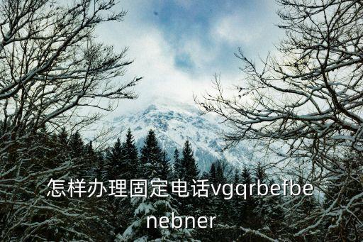 座機(jī)電話怎么辦理，怎樣辦理固定電話vgqrbefbenebner