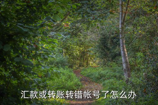 對方轉帳轉錯到我?guī)粼趺崔k，轉賬轉錯了怎么辦