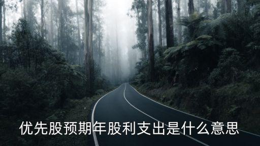 優(yōu)先股預(yù)期年股利支出是什么意思