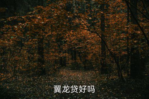 翼龍貸好嗎