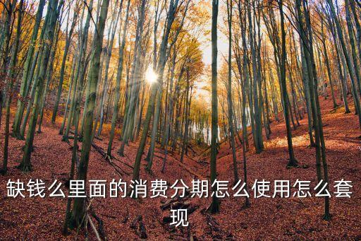 缺錢么里面的消費分期怎么使用怎么套現(xiàn)