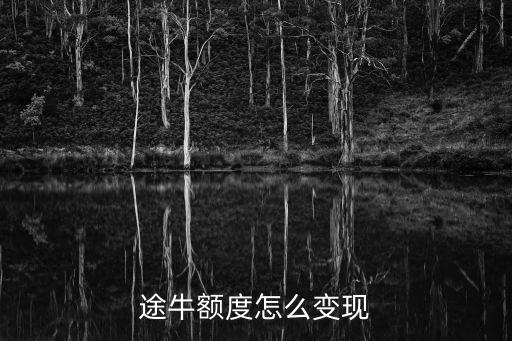 途牛額度怎么變現