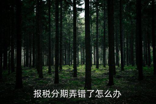 報稅分期弄錯了怎么辦