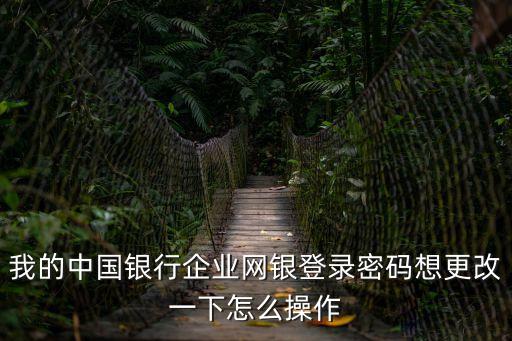 企業(yè)網(wǎng)銀怎么修改密碼，我的中國銀行企業(yè)網(wǎng)銀登錄密碼想更改一下怎么操作