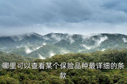 哪里可以查看某個保險品種最詳細的條款