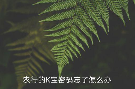 農(nóng)行的K寶密碼忘了怎么辦