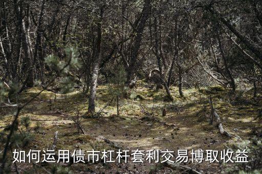 買債券怎么帶杠桿，如何運(yùn)用債市杠桿套利交易博取收益