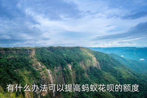 螞蟻花提升額度怎么辦，螞蟻花唄怎么提高額度
