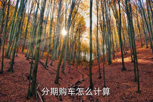 分期購車怎么計算