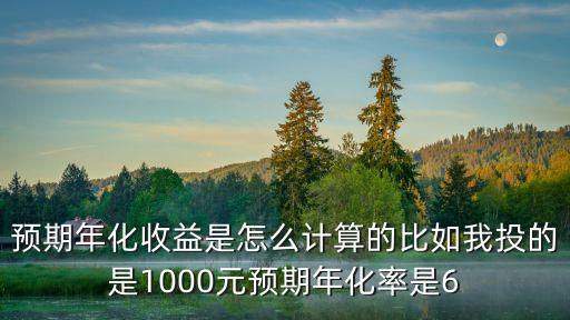 預(yù)期年化收益是怎么計(jì)算的比如我投的是1000元預(yù)期年化率是6
