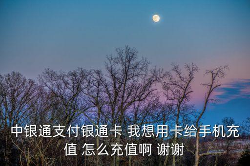 中銀通支付銀通卡 我想用卡給手機(jī)充值 怎么充值啊 謝謝