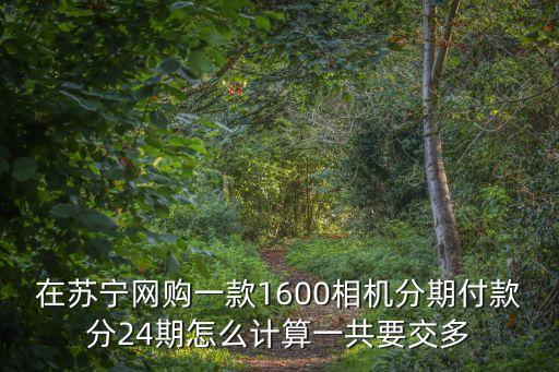 在蘇寧網(wǎng)購(gòu)一款1600相機(jī)分期付款分24期怎么計(jì)算一共要交多