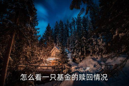 怎么看一只基金的贖回情況