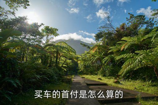 買車是怎么計(jì)算的，買車時(shí)的各種費(fèi)用怎么算的