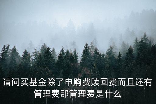 請問買基金除了申購費贖回費而且還有管理費那管理費是什么