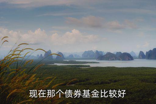 現(xiàn)在那個債券基金比較好